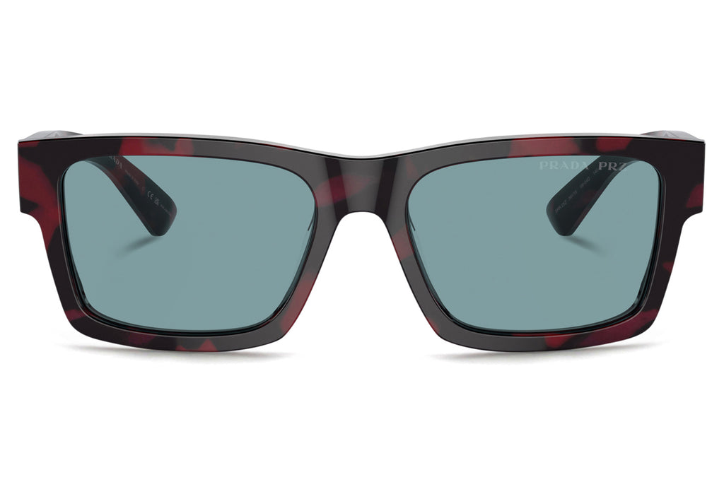 Prada - PR 25ZS Sunglasses Purple Tortoise with Green Polar Lenses (18I04D)