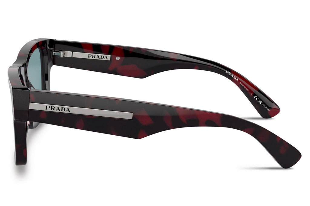 Prada - PR 25ZS Sunglasses Purple Tortoise with Green Polar Lenses (18I04D)