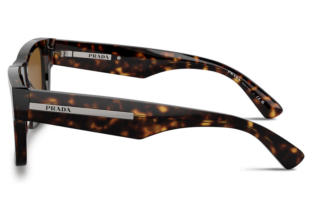 Prada - PR 25ZS Sunglasses Tortoise with Brown Lenses (2AU0B0)