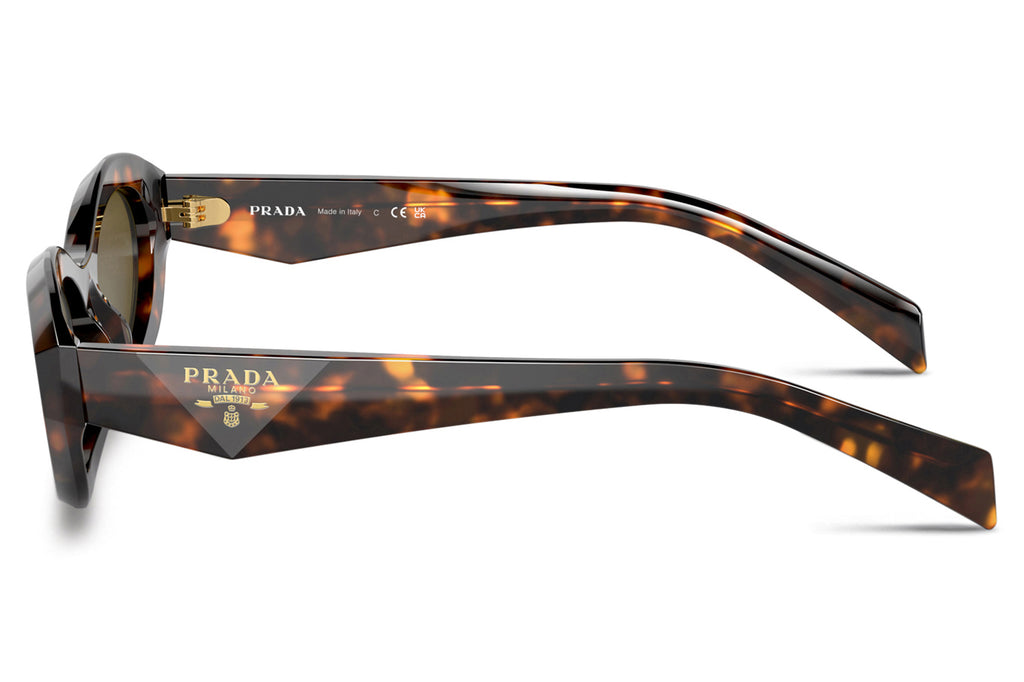 Prada - PR 26ZSF Sunglasses Sage/Honey Tortoise with Dark Brown Lenses (14L09Z)
