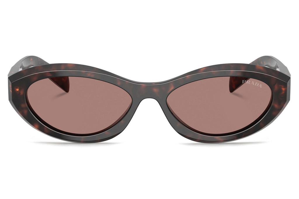 Prada - PR 26ZSF Sunglasses Root Tortoise with Light Brown Lenses (17N60B)