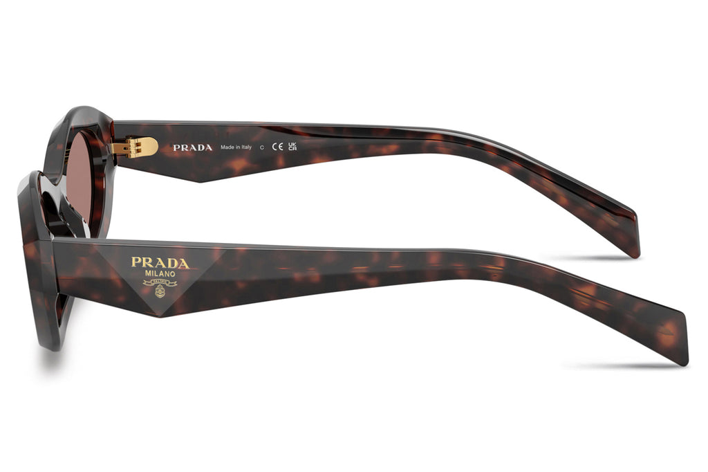 Prada - PR 26ZSF Sunglasses Root Tortoise with Light Brown Lenses (17N60B)