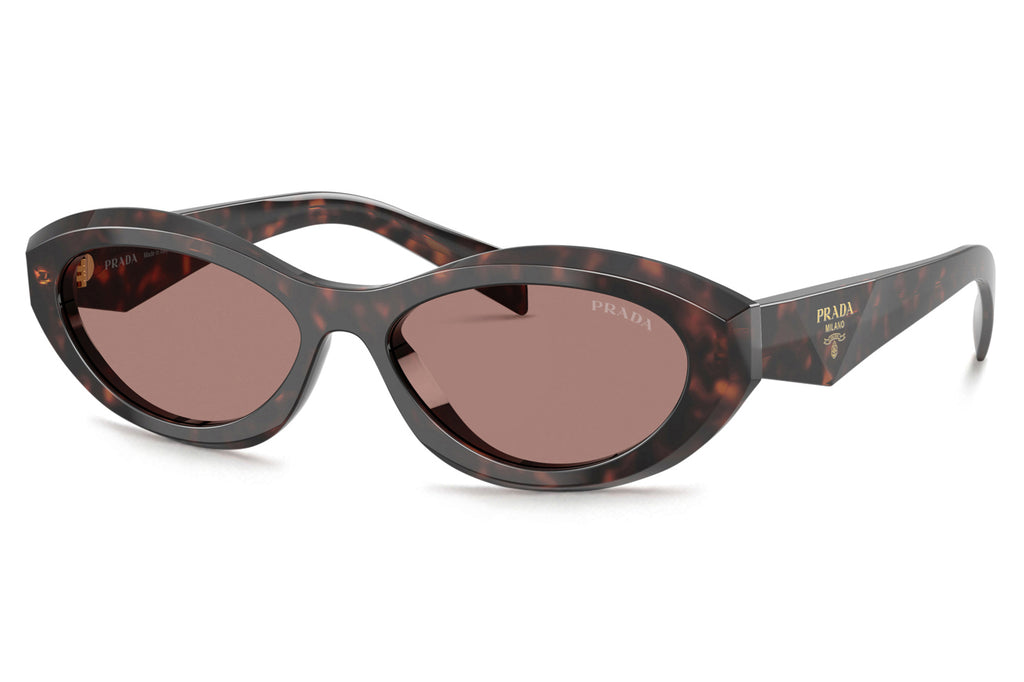 Prada - PR 26ZSF Sunglasses Root Tortoise with Light Brown Lenses (17N60B)