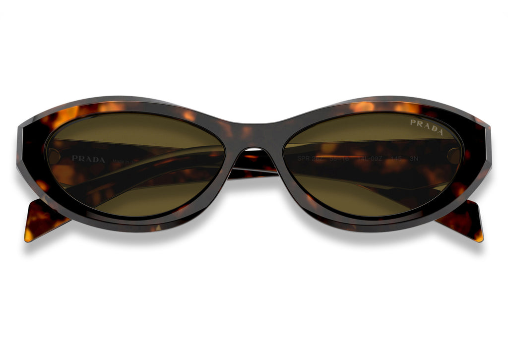 Prada - PR 26ZS Sunglasses Sage/Honey Tortoise with Dark Brown Lenses (14L09Z)