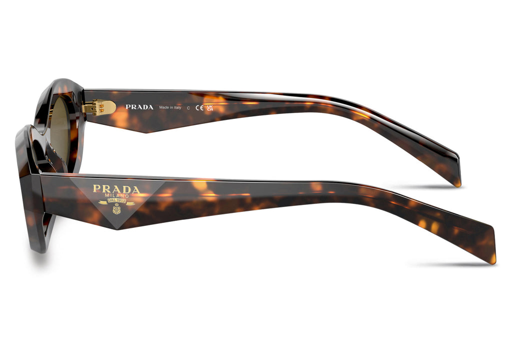 Prada - PR 26ZS Sunglasses Sage/Honey Tortoise with Dark Brown Lenses (14L09Z)