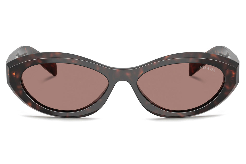 Prada - PR 26ZS Sunglasses Root Tortoise with Light Brown Lenses (17N60B)