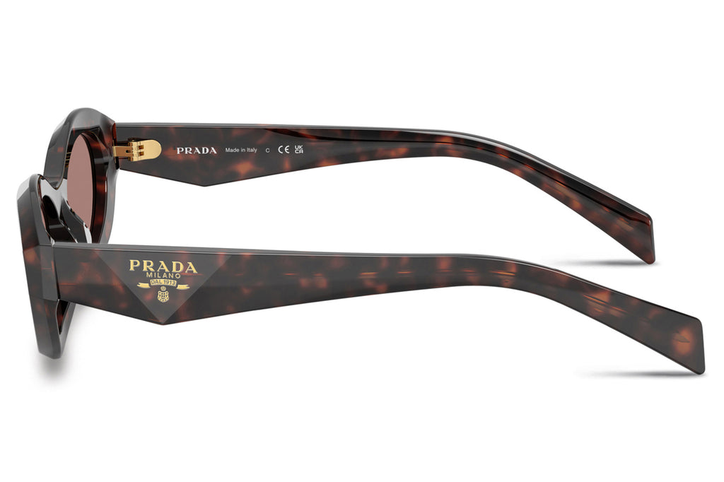 Prada - PR 26ZS Sunglasses Root Tortoise with Light Brown Lenses (17N60B)