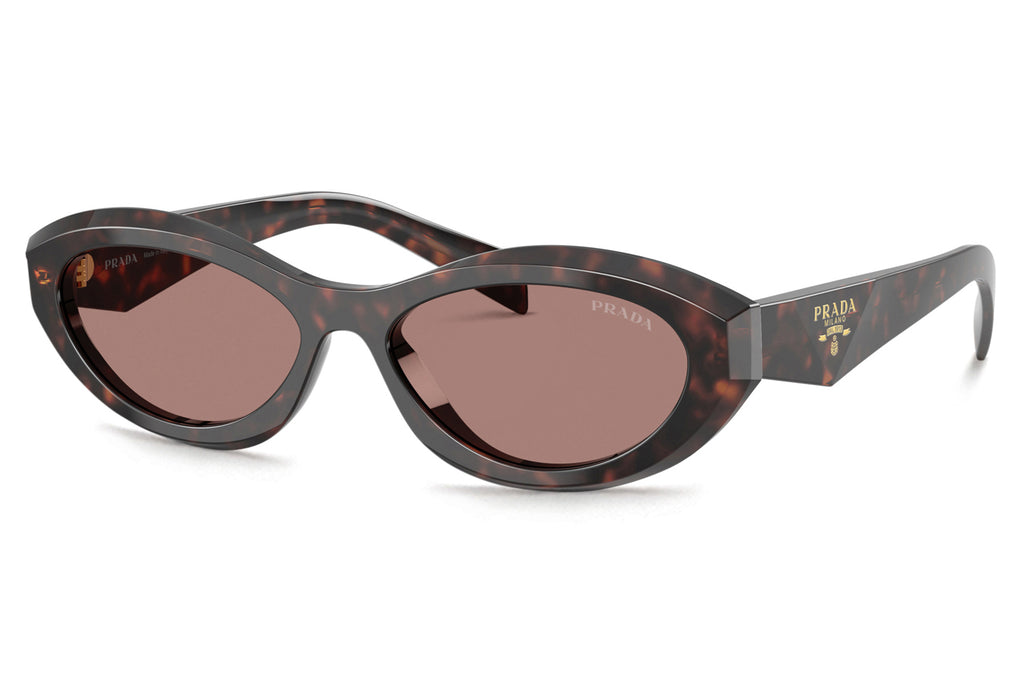 Prada - PR 26ZS Sunglasses Root Tortoise with Light Brown Lenses (17N60B)