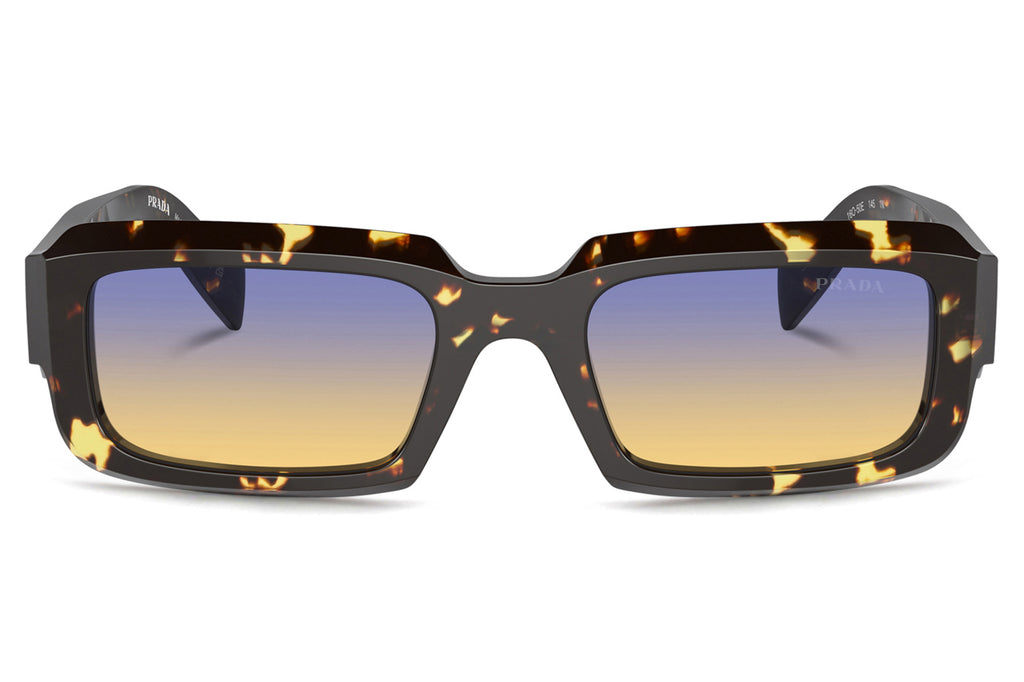 Prada - PR 27ZSF Sunglasses Black Malt Tortoise with Yellow Dark Blue Gradient Lenses (16O50E)