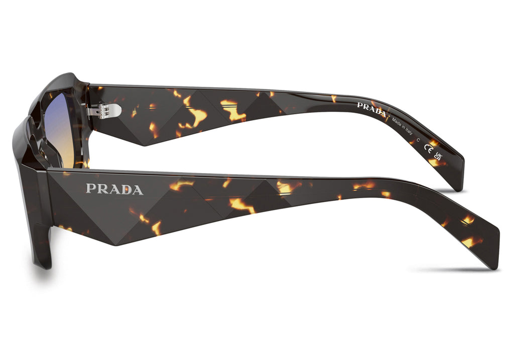 Prada - PR 27ZSF Sunglasses Black Malt Tortoise with Yellow Dark Blue Gradient Lenses (16O50E)
