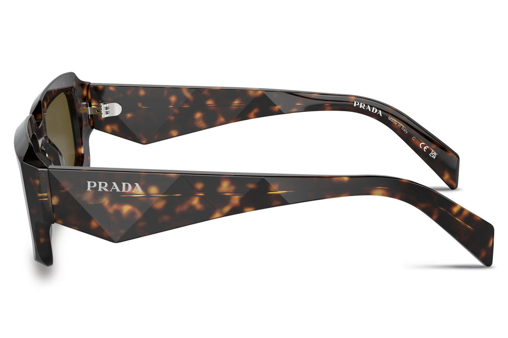 Prada - PR 27ZSF Sunglasses Loden/Black with Dark Brown Lenses (19J09Z)