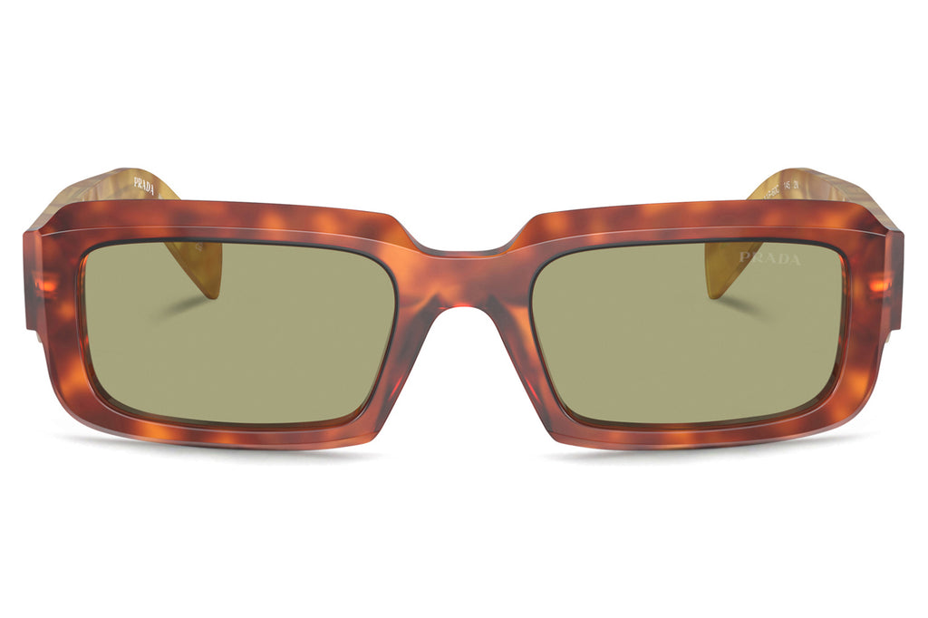 Prada - PR 27ZS Sunglasses Cognac Tortoise with Green Lenses (11P60C)