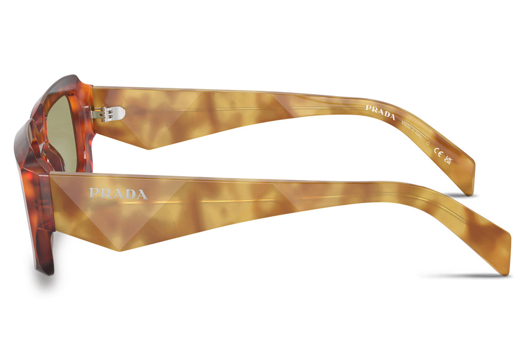 Prada - PR 27ZS Sunglasses Cognac Tortoise with Green Lenses (11P60C)