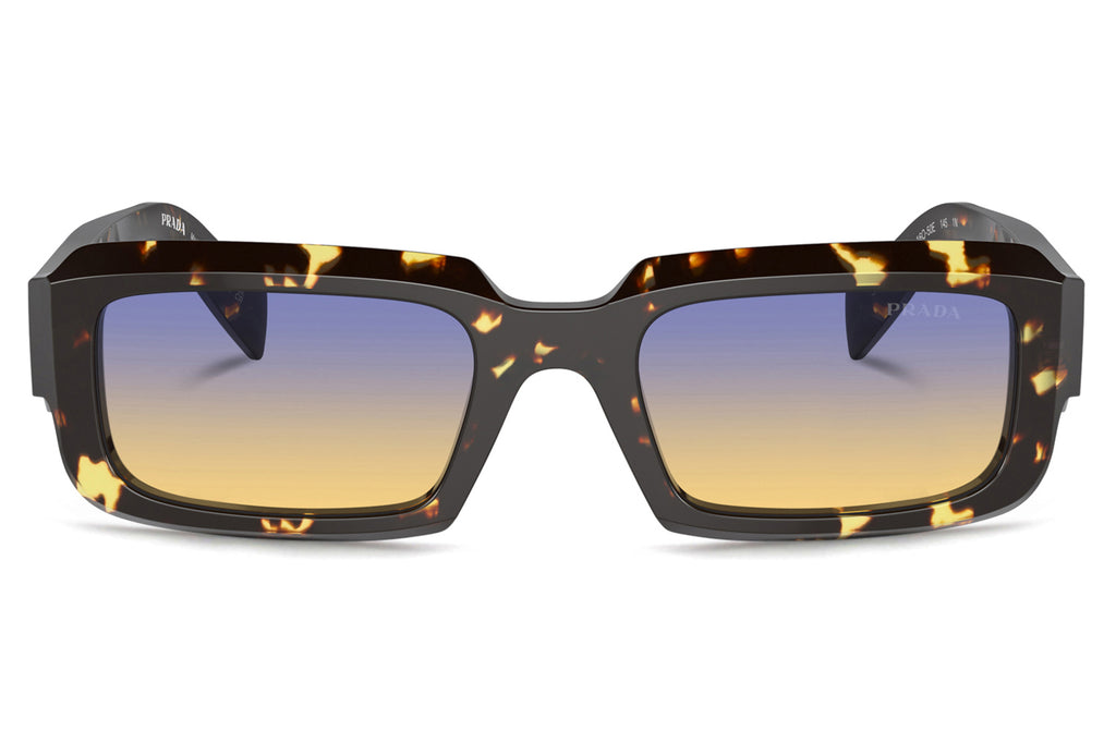 Prada - PR 27ZS Sunglasses Black Malt Tortoise with Yellow Dark Blue Gradient Lenses (16O50E)