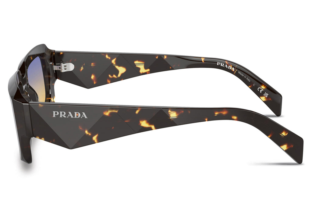 Prada - PR 27ZS Sunglasses Black Malt Tortoise with Yellow Dark Blue Gradient Lenses (16O50E)