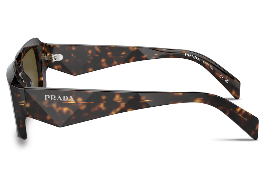 Prada - PR 27ZS Sunglasses Loden/Black with Dark Brown Lenses (19J09Z)