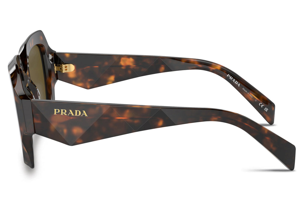 Prada - PR 28ZS Sunglasses Sage/Honey Tortoise with Dark Brown Lenses (14L09Z)