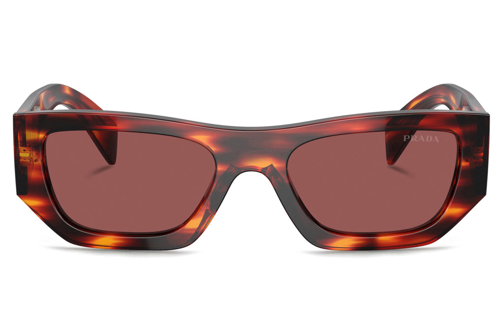 Prada - PR A01SF Sunglasses Havana Red with Dark Violet Lenses (13O80B)
