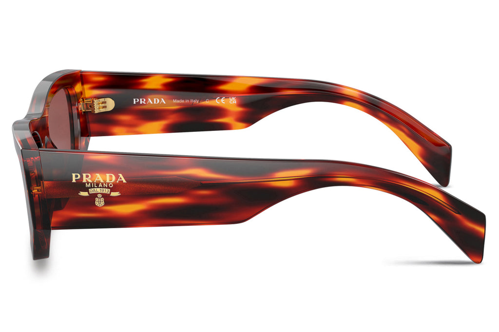 Prada - PR A01SF Sunglasses Havana Red with Dark Violet Lenses (13O80B)