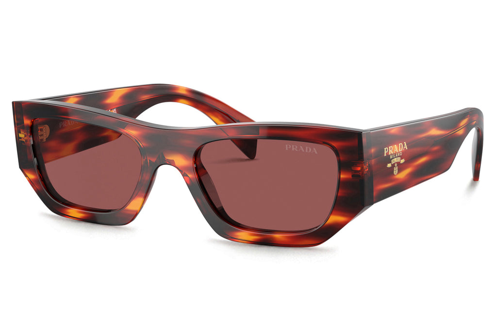 Prada - PR A01SF Sunglasses Havana Red with Dark Violet Lenses (13O80B)