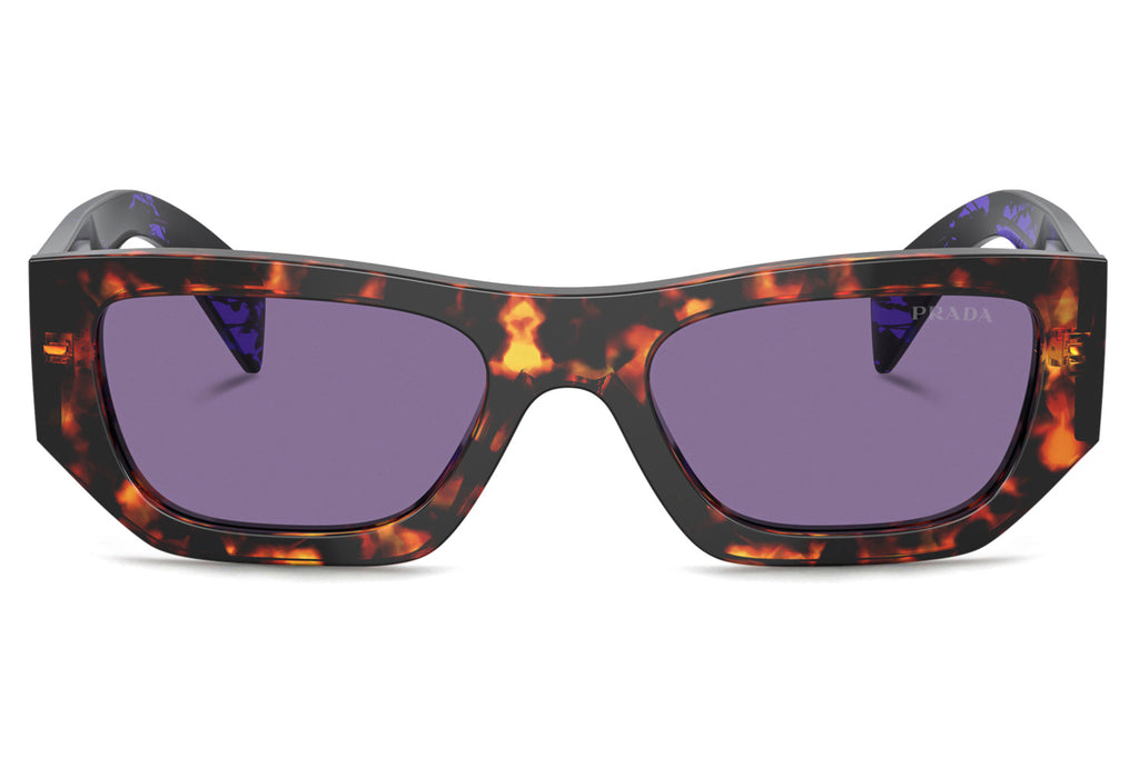 Prada - PR A01SF Sunglasses Havana with Violet Mirror Internal Silver Lenses (14O50B)