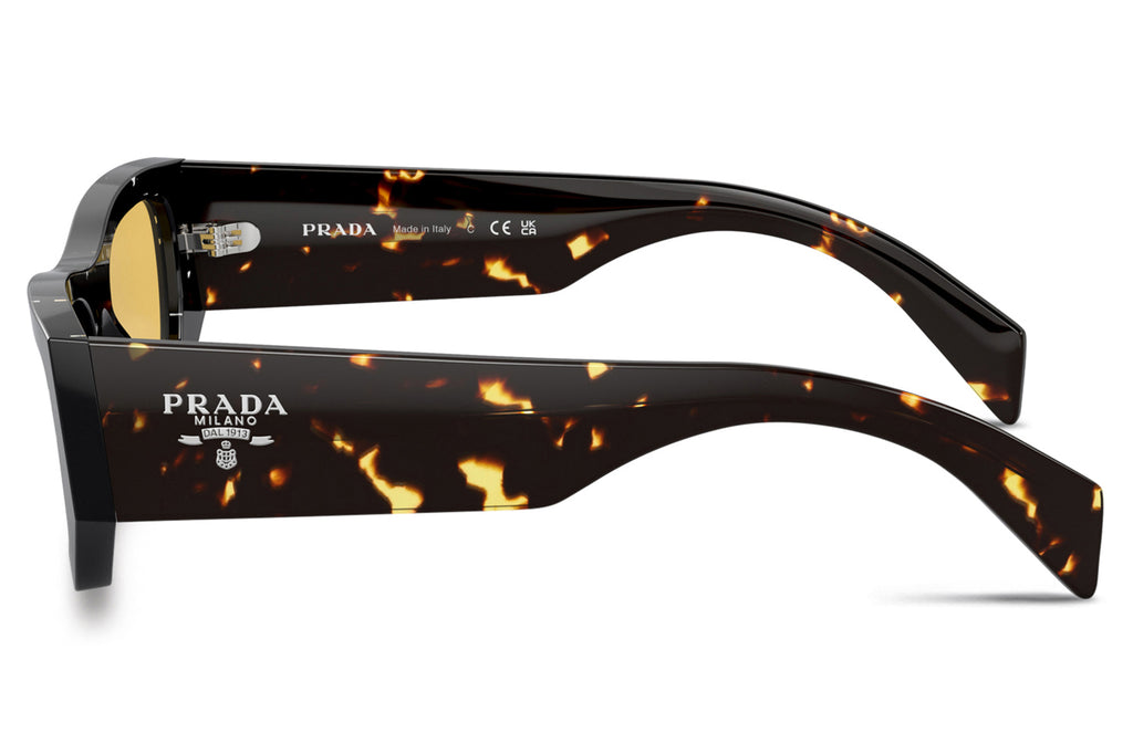 Prada - PR A01SF Sunglasses Havana Black with Yellow Lenses (15O10C)