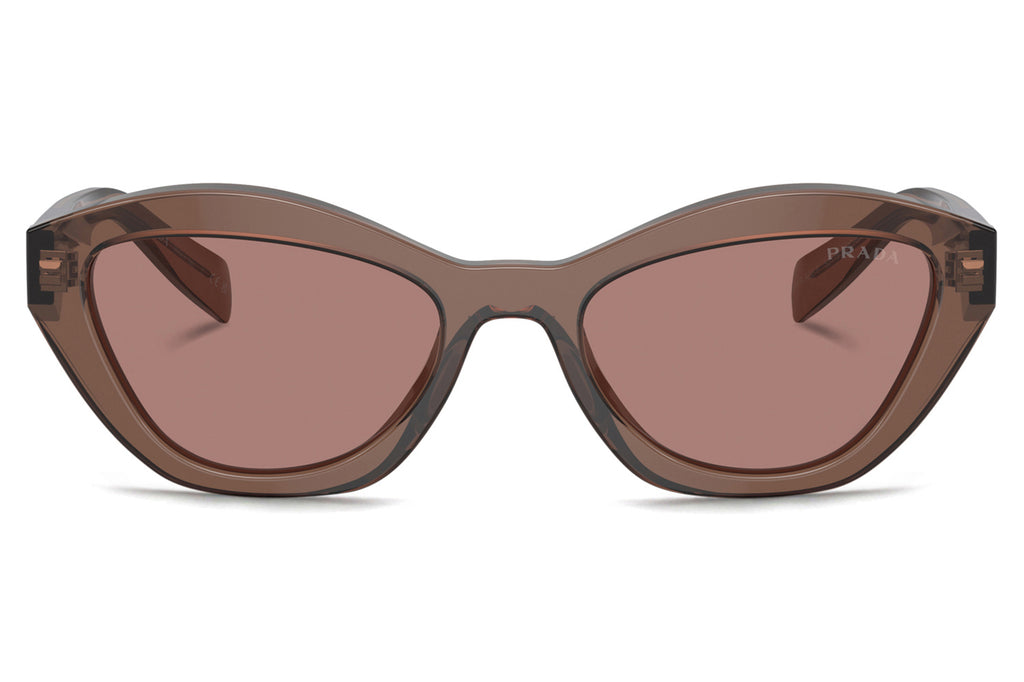 Prada - PR A02SF Sunglasses Transparent Brown with Light Brown Lenses (17O60B)