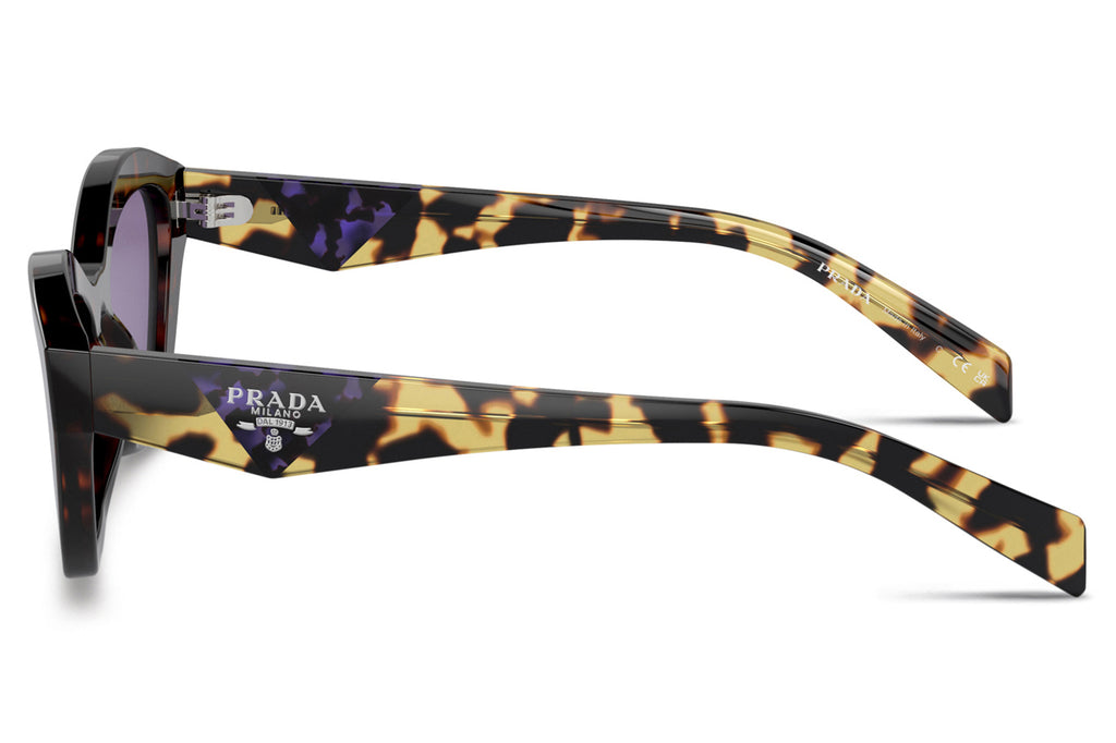 Prada - PR A02S Sunglasses Havana with Violet Mirror Internal Silver Lenses (17N50B)