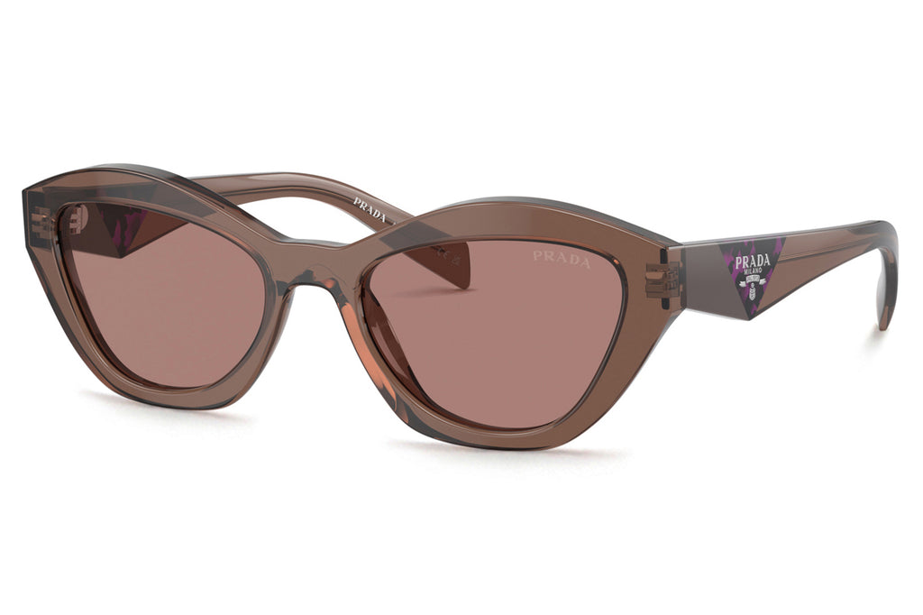 Prada - PR A02S Sunglasses Transparent Brown with Light Brown Lenses (17O60B)
