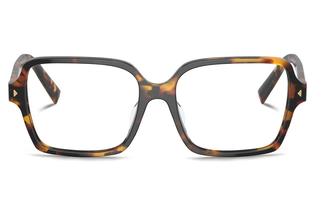 Prada - PR A02V Eyeglasses Havana Clear (VAU1O1)