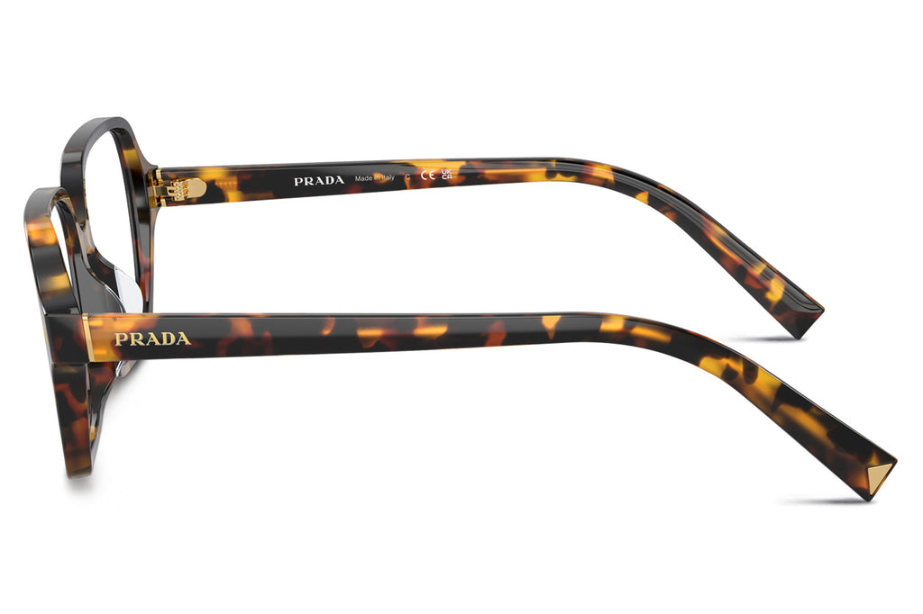 Prada - PR A02V Eyeglasses Havana Clear (VAU1O1)