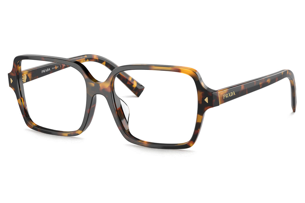 Prada - PR A02V Eyeglasses Havana Clear (VAU1O1)