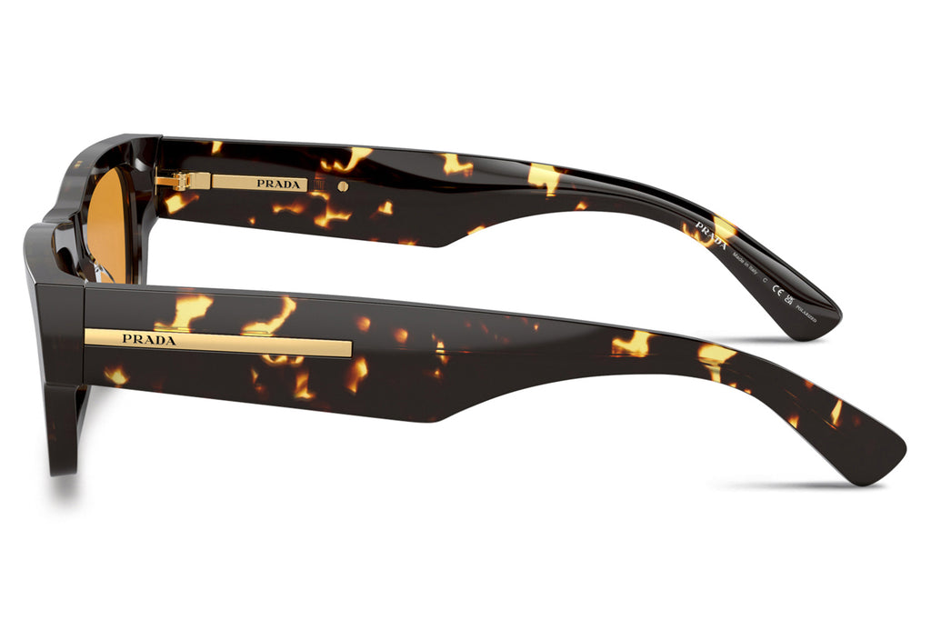 Prada - PR A03S Sunglasses Havana Black Yellow with Yellow Polar Lenses (16O20C)