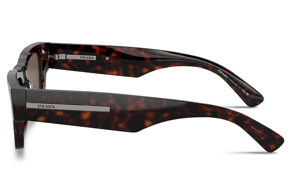 Prada - PR A03S Sunglasses Havana Brown with Brown Lenses (17N08T)