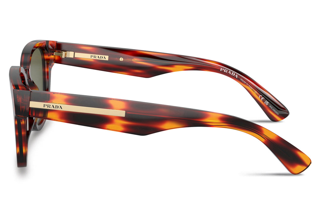 Prada - PR A04S Sunglasses Havana Red with Green Polar Lenses (13O03R)