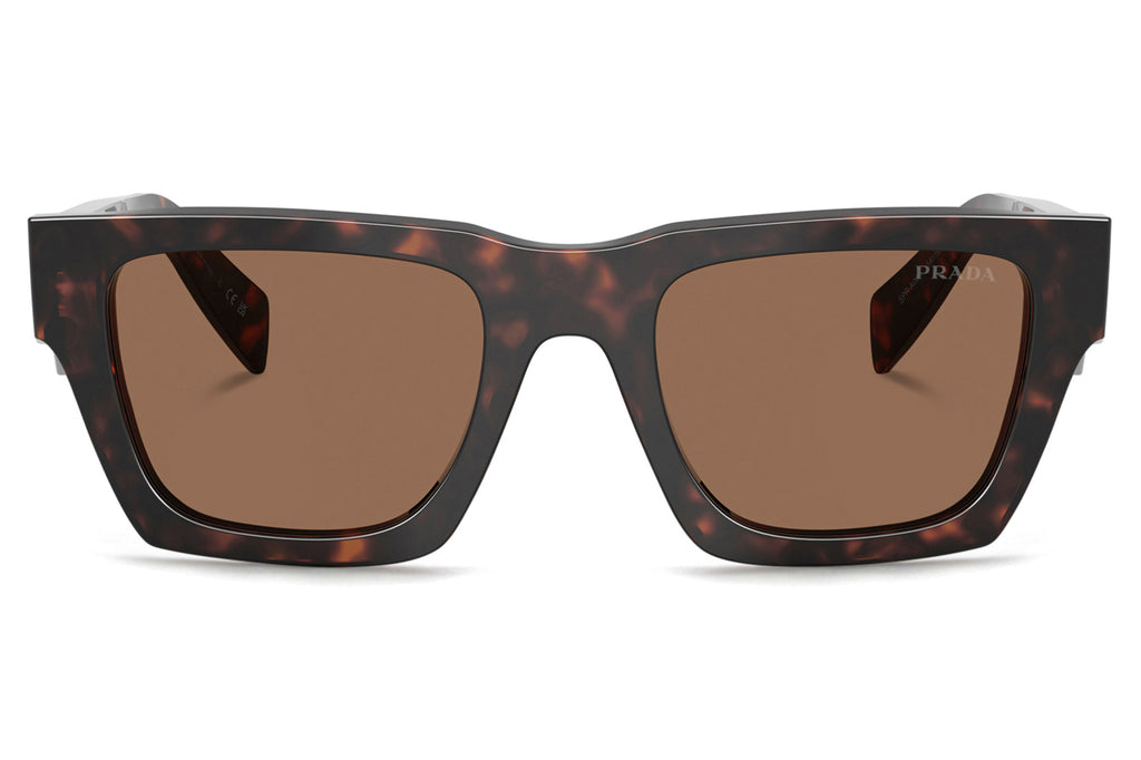 Prada - PR A06SF Sunglasses Root Tortoise with Dark Brown Lenses (17N06B)
