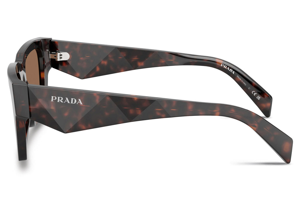 Prada - PR A06SF Sunglasses Root Tortoise with Dark Brown Lenses (17N06B)