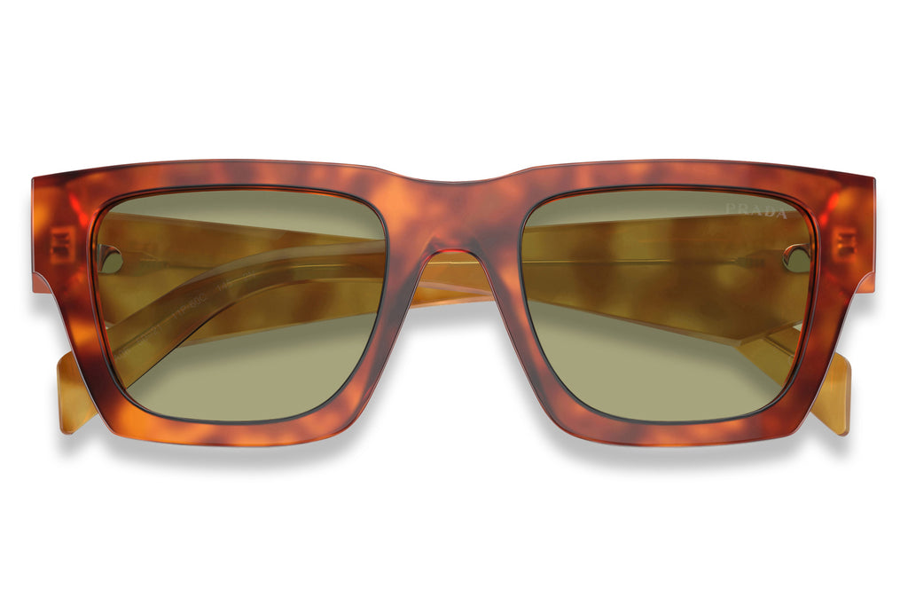 Prada - PR A06S Sunglasses Cognac Tortoise with Green Lenses (11P60C)