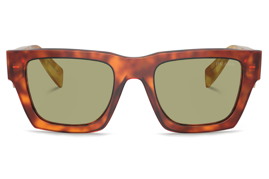 Prada - PR A06S Sunglasses Cognac Tortoise with Green Lenses (11P60C)