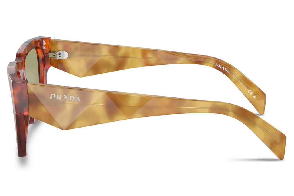 Prada - PR A06S Sunglasses Cognac Tortoise with Green Lenses (11P60C)