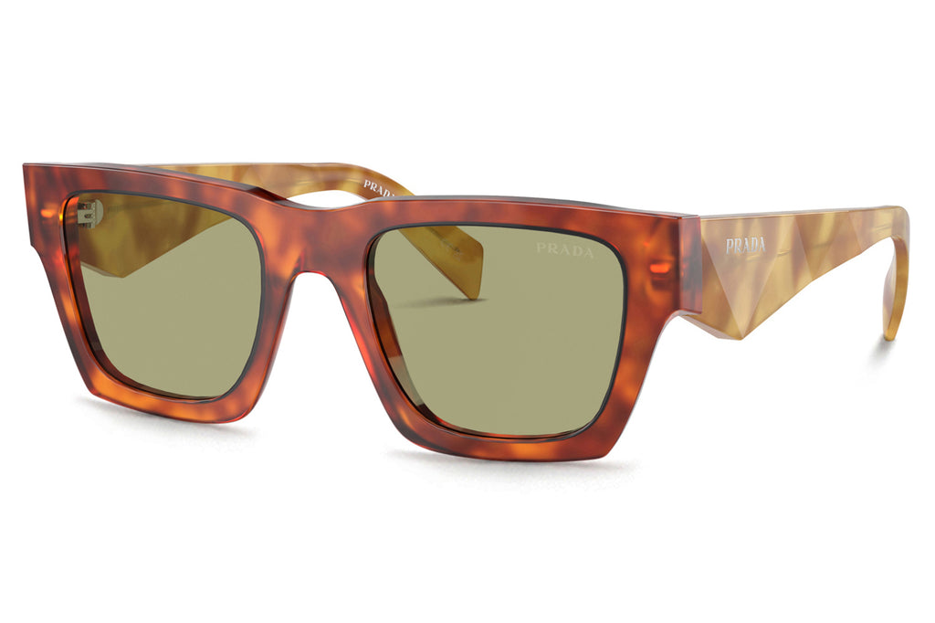 Prada - PR A06S Sunglasses Cognac Tortoise with Green Lenses (11P60C)