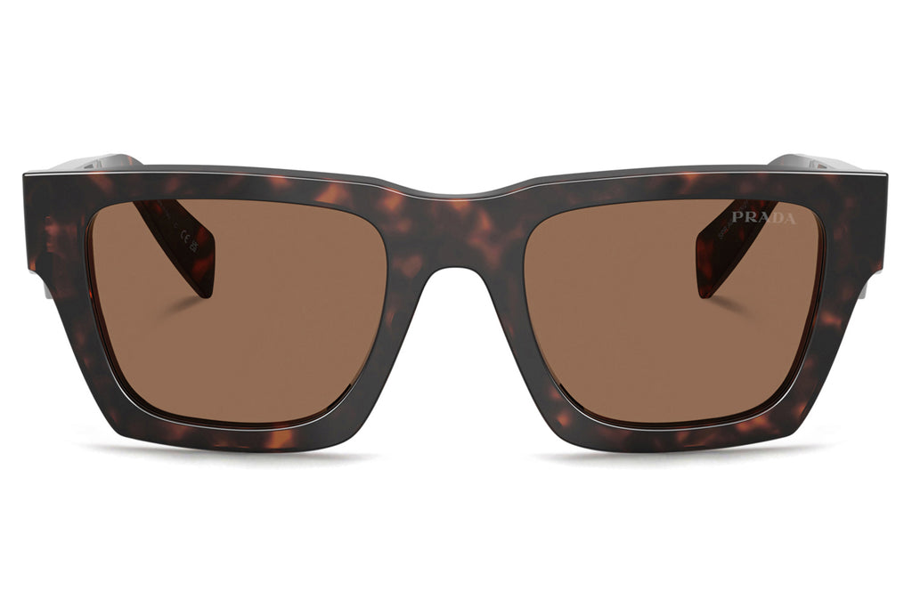 Prada - PR A06S Sunglasses Root Tortoise with Dark Brown Lenses (17N06B)