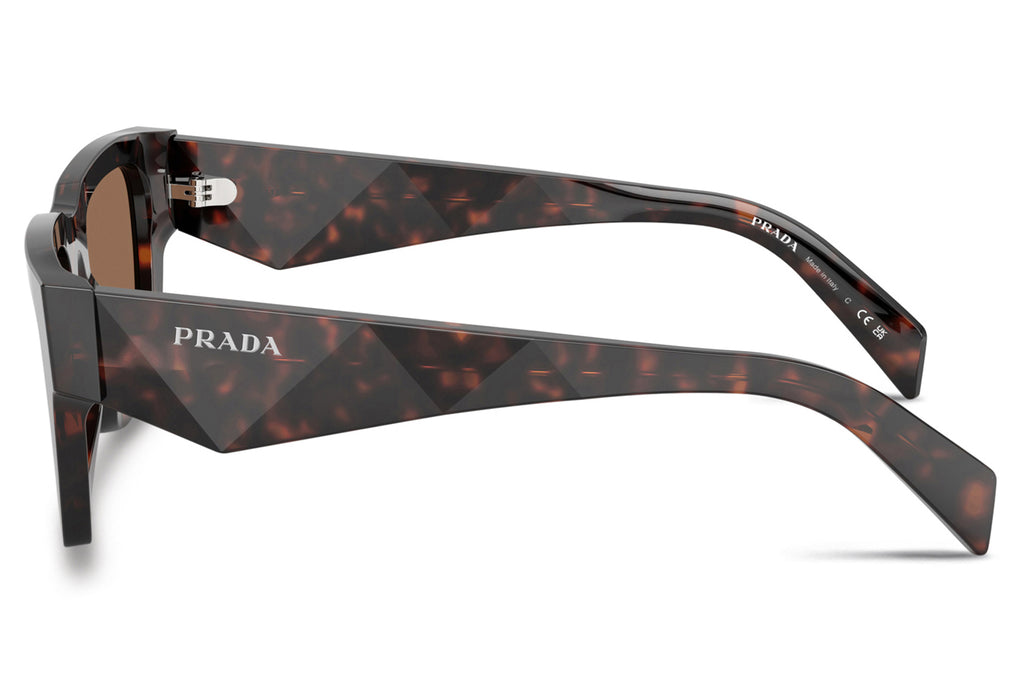 Prada - PR A06S Sunglasses Root Tortoise with Dark Brown Lenses (17N06B)