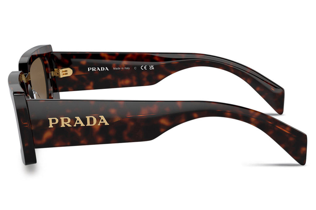Prada - PR A07SF Sunglasses Briar Tortoise with Dark Brown Polar Lenses (16N5Y1)