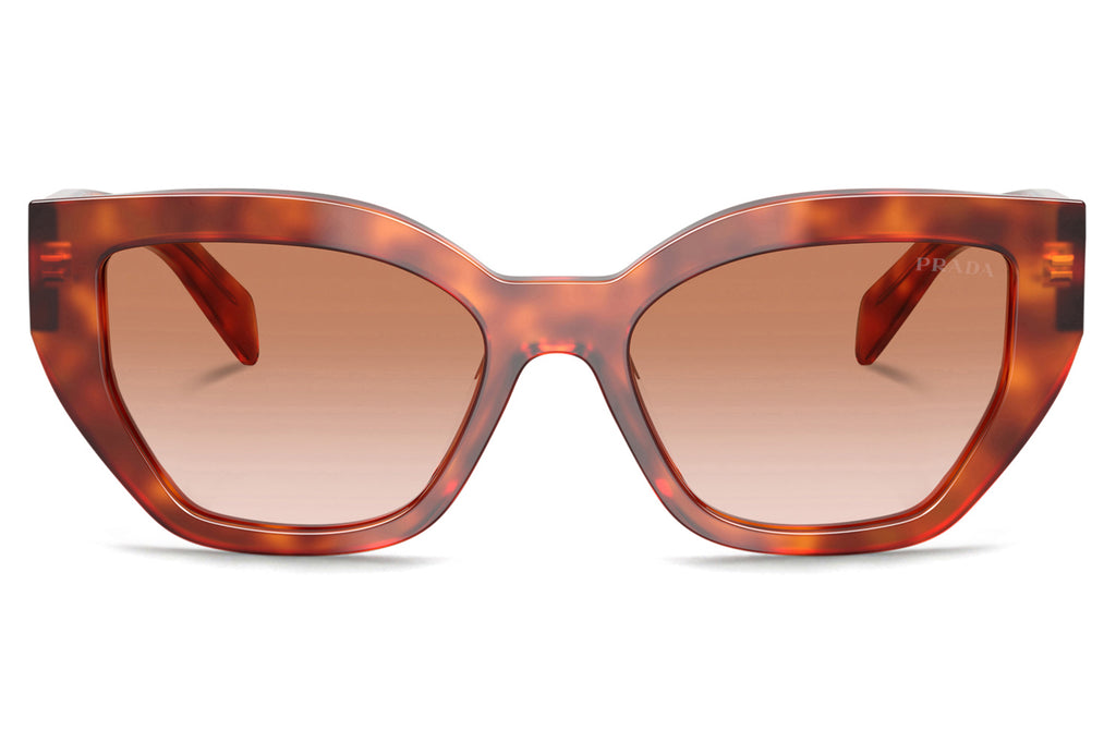 Prada - PR A09SF Sunglasses Cognac Tortoise with Brown Gradient Lenses (11P70E)