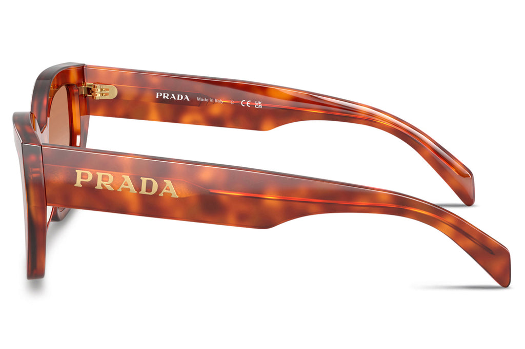 Prada - PR A09SF Sunglasses Cognac Tortoise with Brown Gradient Lenses (11P70E)