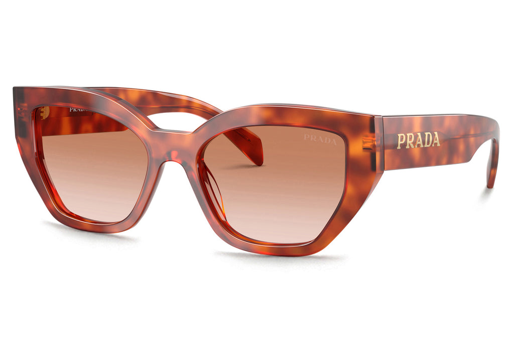 Prada - PR A09SF Sunglasses Cognac Tortoise with Brown Gradient Lenses (11P70E)