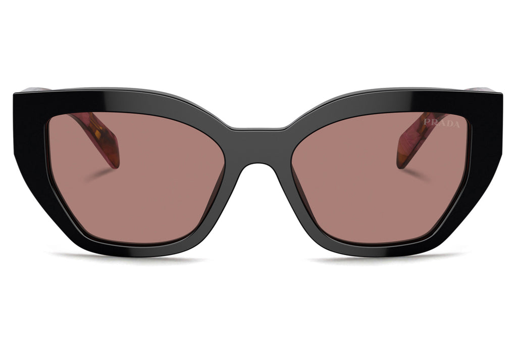 Prada - PR A09SF Sunglasses Mahogany with Light Brown Lenses (12O10D)
