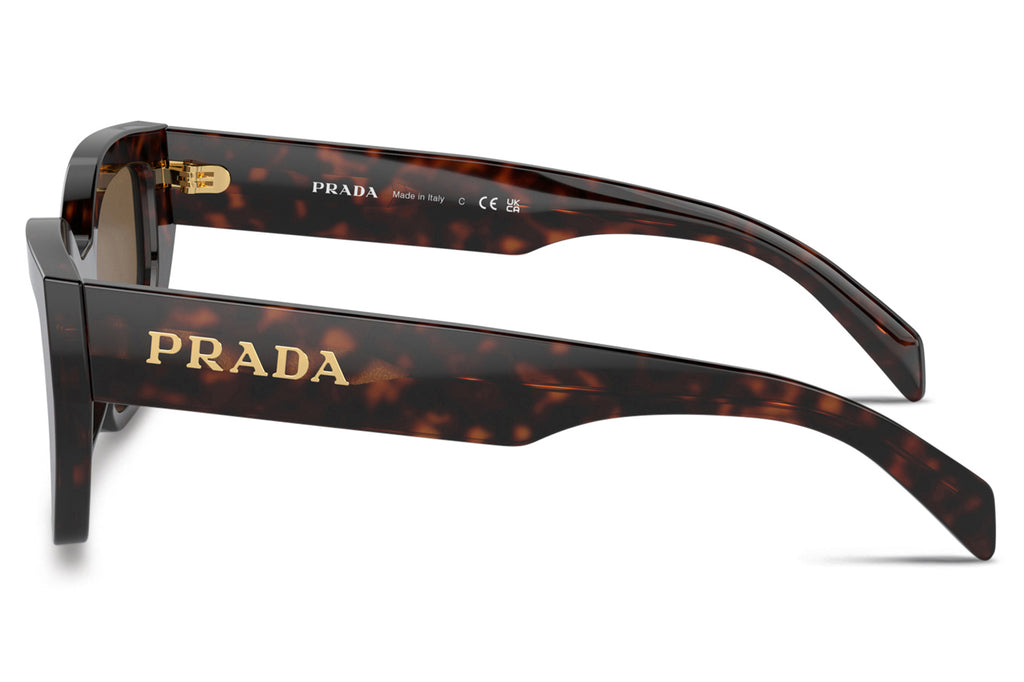 Prada - PR A09SF Sunglasses Briar Tortoise with Dark Brown Lenses (16N5Y1)