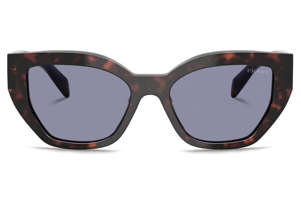 Prada - PR A09SF Sunglasses Root Tortoise with Grey Lenses (17N03N)